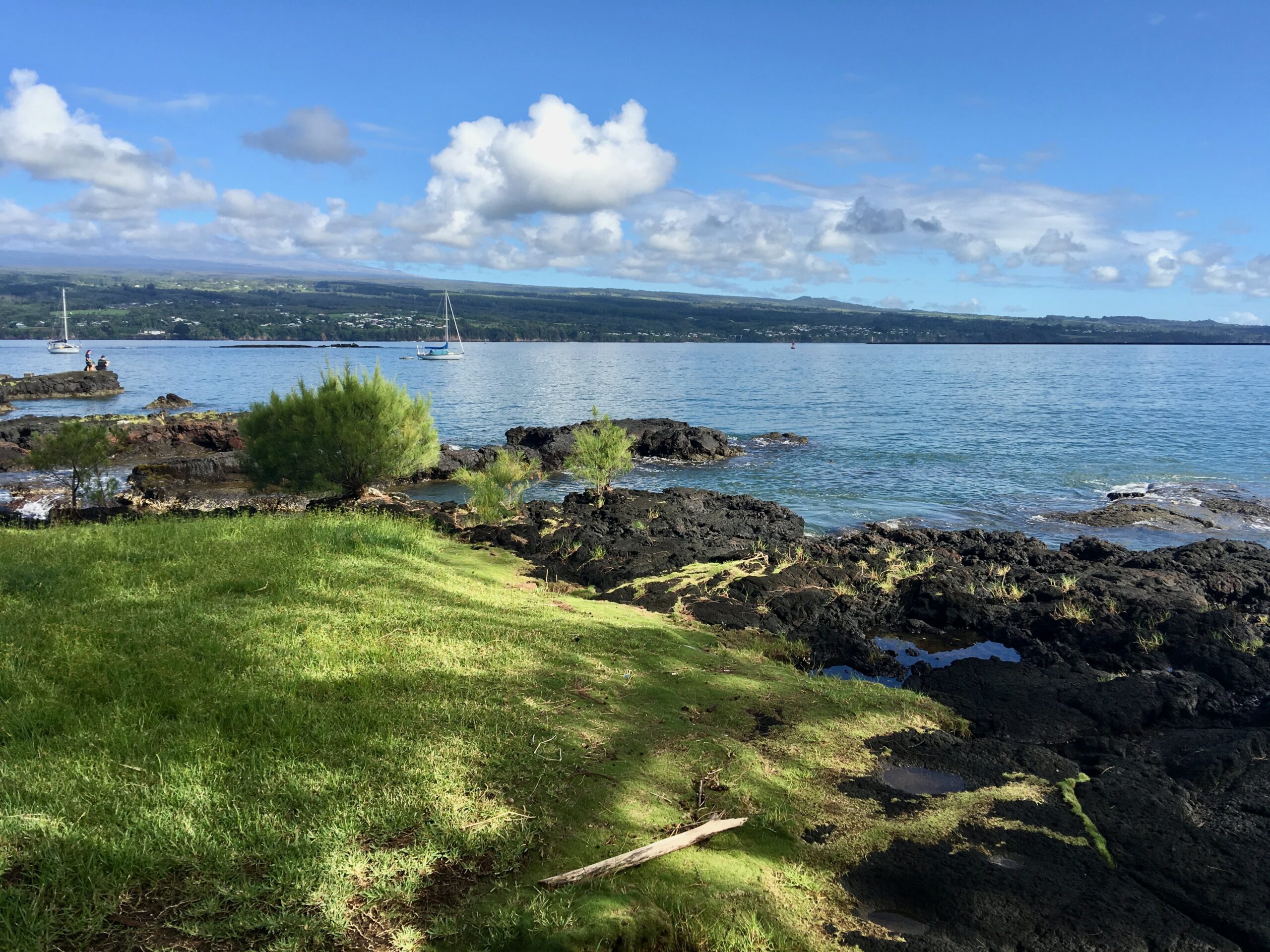 View of Hilo bay with sailboats moored off in the distance fronted by green grass and black lava on the coast
