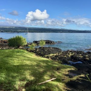 View of Hilo bay with sailboats moored off in the distance fronted by green grass and black lava on the coast