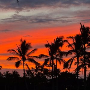 Sunset in Waikoloa fronted by palm trees in black silhouette and the pacific ocean behind it
