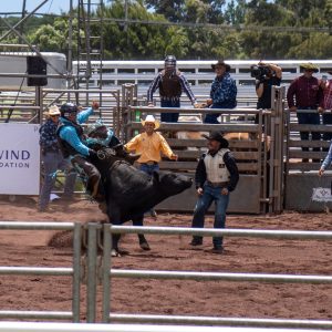 bull riding 1