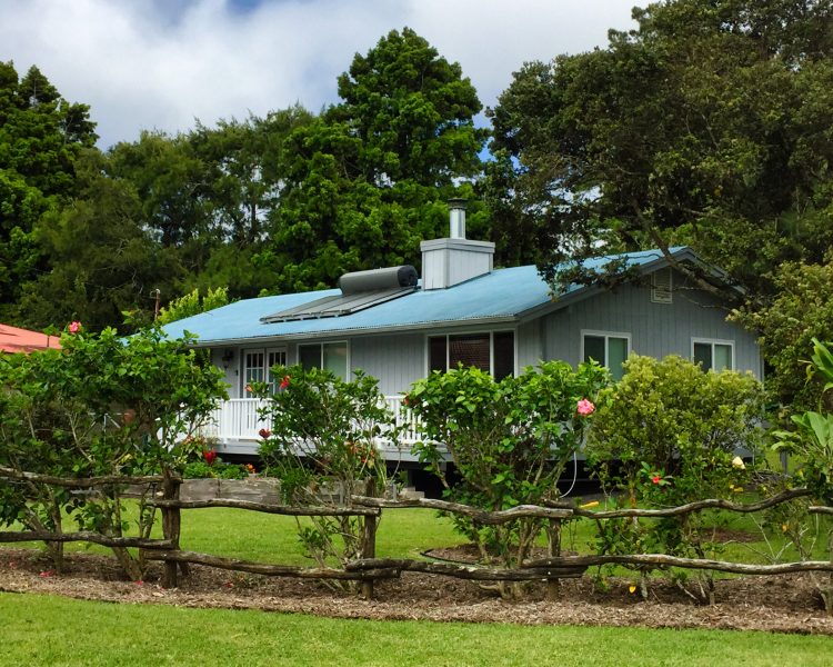 Front View of Small Blue and Gray House in Waimea Hawaii with a Hibiscus hedge